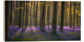 Wood print In the enchanted forest