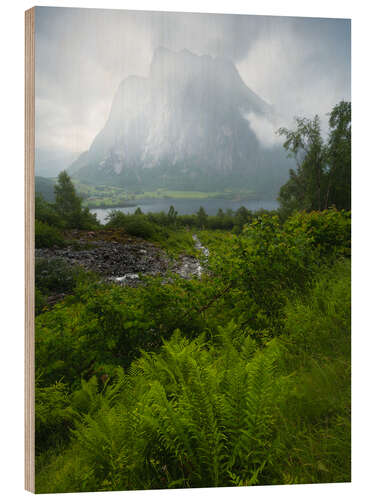 Holzbild Eikesdalen in der Nähe von Romsdalen, Norwegen