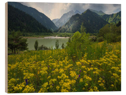 Wood print Lake Issyk near Almaty, Kazachstan