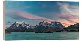 Holzbild Torres del Paine in Patagonien - Dieter Meyrl