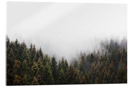 Akrylglastavla The Window In The Woods - Tordis Kayma