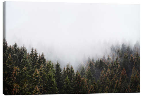 Canvas print The Window In The Woods