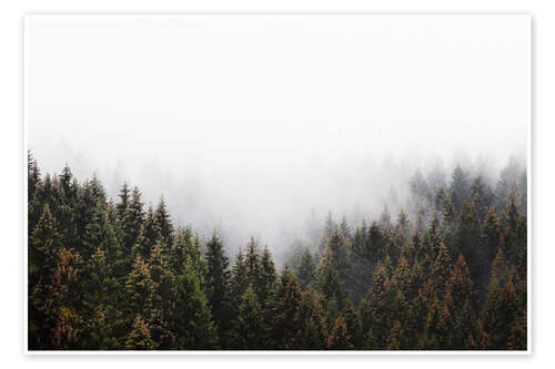 Poster Das Fenster im Wald