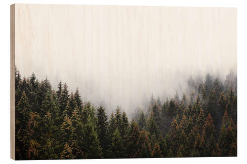 Obraz na drewnie The Window In The Woods