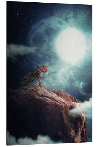 Stampa su alluminio Leopard in the moon night dominating the jungle