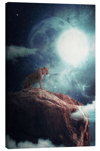 Canvas print Leopard in the moon night dominating the jungle