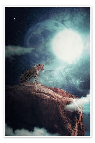 Poster Leopard in the moon night dominating the jungle