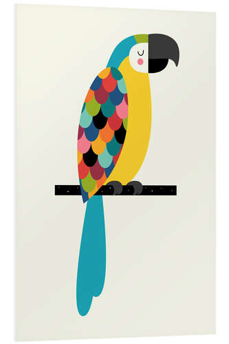 Quadro em PVC Macaw Parrot