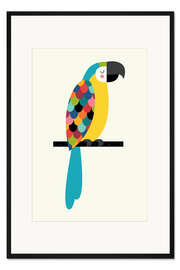 Gerahmter Kunstdruck Ara Papagei