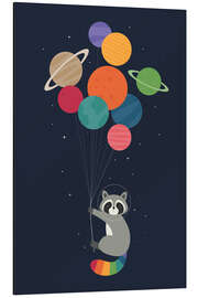 Aluminiumsbilde Space Raccoon