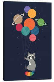 Canvas print Space Raccoon
