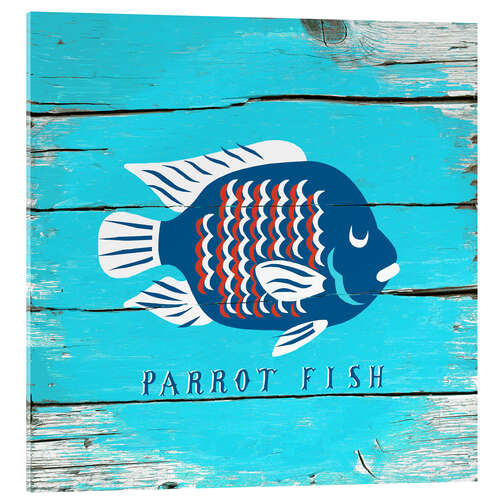 Acrylglas print Parrot fish