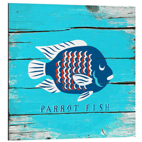 Stampa su alluminio Parrot fish