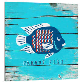 Aluminium print Parrot fish