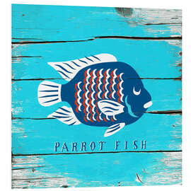 Cuadro de PVC Parrot fish