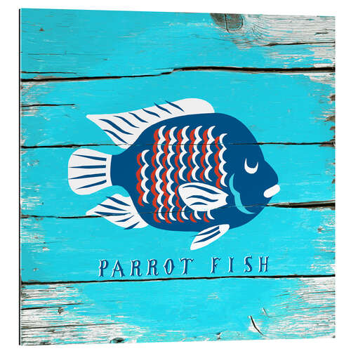 Galleriprint Parrot fish