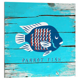 Gallery print Parrot fish