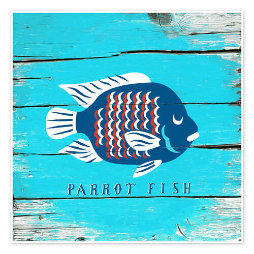 Poster Parrot fish