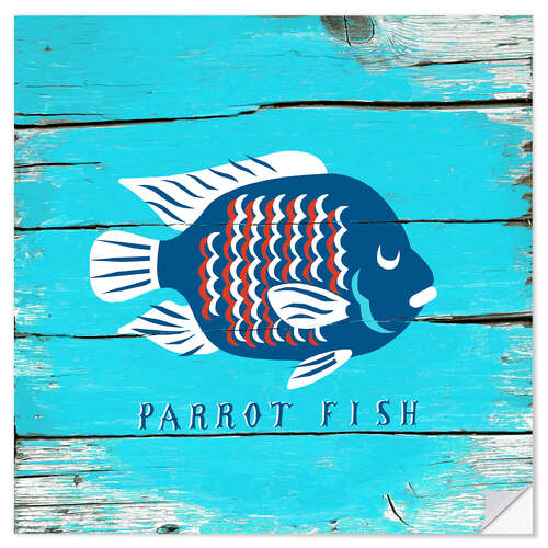 Sisustustarra Parrot fish