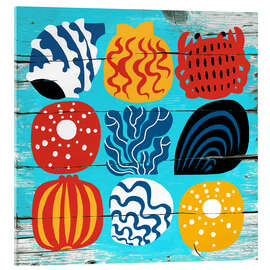 Acrylglasbild Farbige Muscheln - Marco Marella