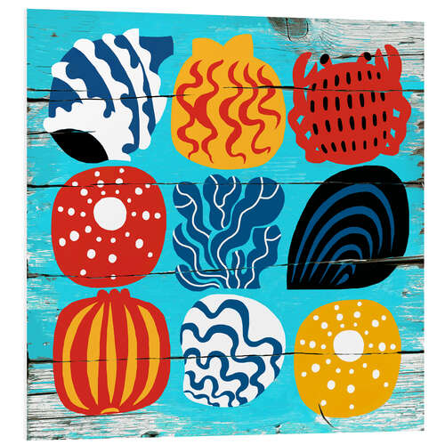 Quadro em PVC Coloured shells