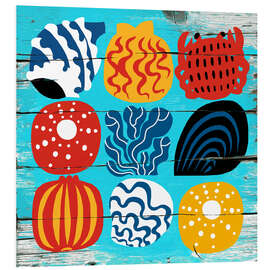 Quadro em PVC Coloured shells - Marco Marella
