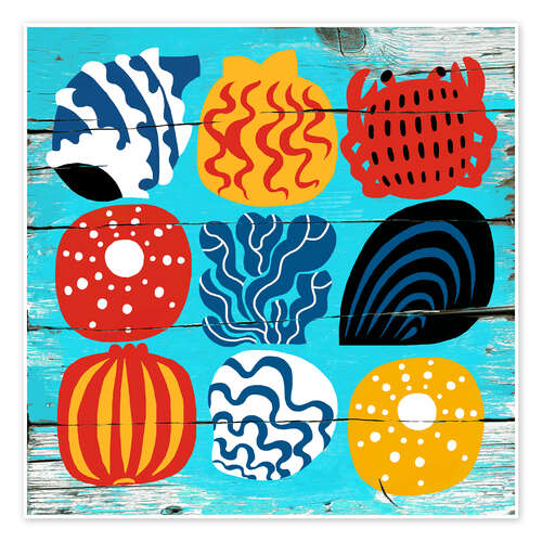 Poster Coloured shells