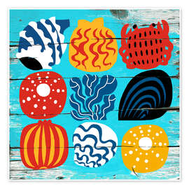 Tavla Coloured shells - Marco Marella
