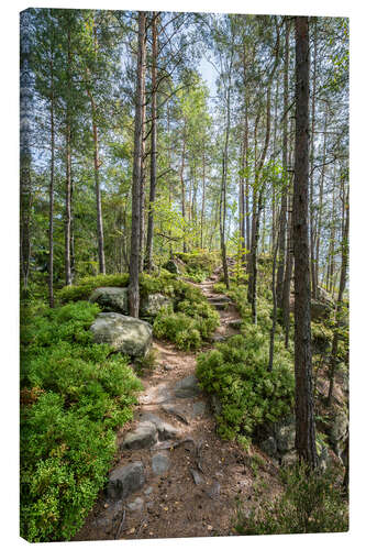 Canvas print Hiking on the Malerweg in summer
