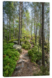 Canvas print Hiking on the Malerweg in summer - Jan Christopher Becke