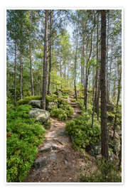 Poster Hiking on the Malerweg in summer - Jan Christopher Becke