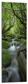 Tableau en aluminium Stream in the green forest - Jan Christopher Becke