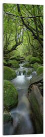 Cuadro de plexi-alu Stream in the green forest - Jan Christopher Becke