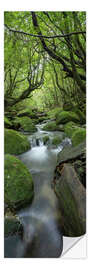 Wall sticker Stream in the green forest - Jan Christopher Becke