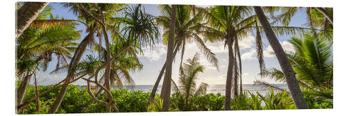 Quadro em acrílico Tropical palm beach