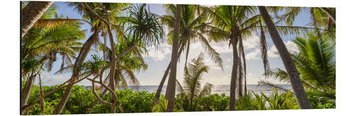 Obraz na aluminium Tropical palm beach
