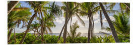 Foam board print Tropical palm beach