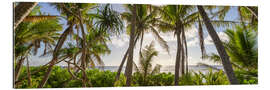 Gallery print Tropical palm beach