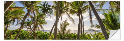 Naklejka na ścianę Tropical palm beach
