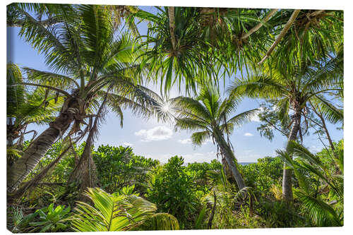 Canvas print Relaxation under shady palm trees