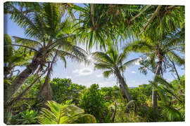 Canvas print Relaxation under shady palm trees - Jan Christopher Becke