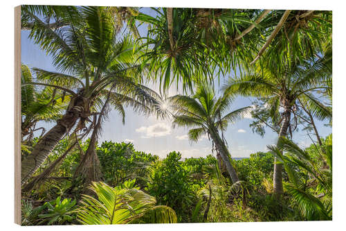 Cuadro de madera Relaxation under shady palm trees