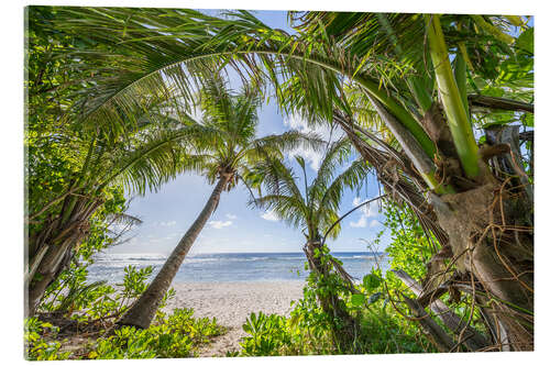 Obraz na szkle akrylowym Beach oasis with palm trees