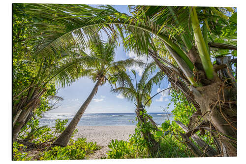 Stampa su alluminio Beach oasis with palm trees