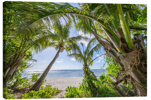 Canvas print Beach oasis with palm trees