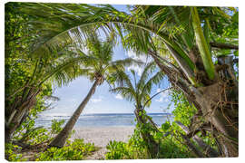 Canvas print Beach oasis with palm trees - Jan Christopher Becke