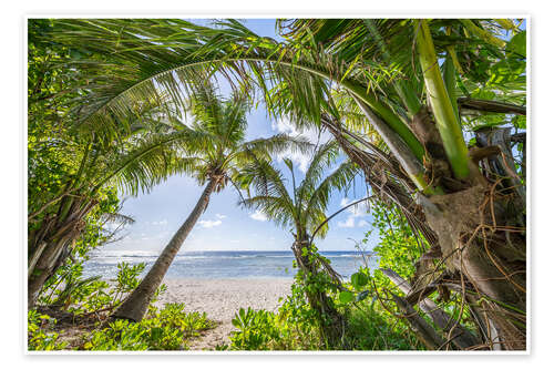 Póster Beach oasis with palm trees