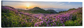 Leinwandbild Azaleenblüte in Südkorea - Jan Christopher Becke