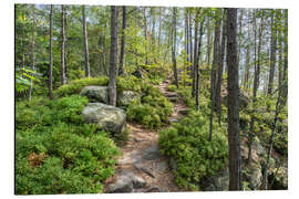 Cuadro de aluminio Hiking in Saxon Switzerland