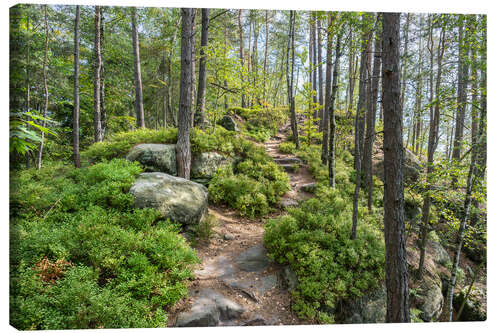 Leinwandbild Wandern in der Sächsischen Schweiz